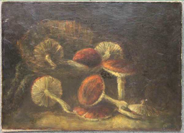 Natura morta con funghi - dipinto del XIX sec, ad olio su tela 76x55 cm.