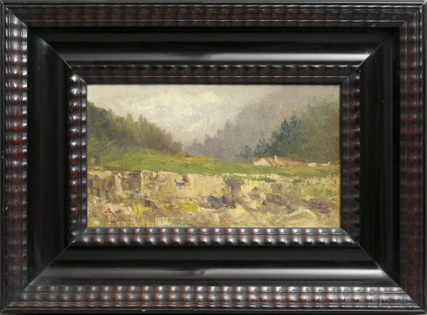 Paesaggio montano, dipinto ad olio su cartone telato, cm 20 x 35, firmato, entro cornice.