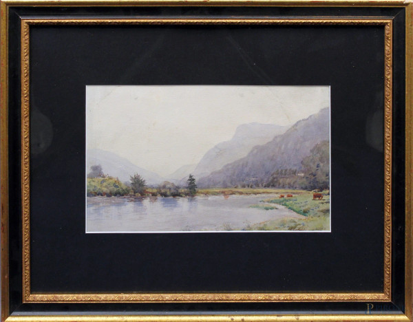 Paesaggio montano con lago e armenti, acquarello su carta, cm 20 x 32, firmato, entro cornice.