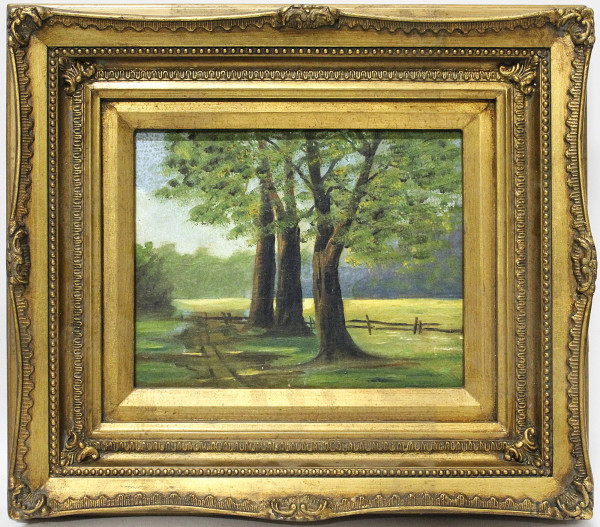 Paesaggio con alberi, olio su tavola 20x25 cm, entro cornice.