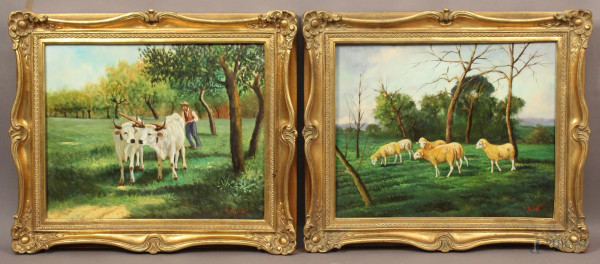 Coppia paesaggi con armenti, olio su tela, cm. 40x50, firmati F. Borelli, entro cornici.