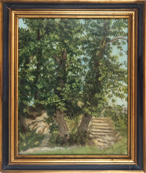 Paesaggio con alberi, olio su cartone telato, cm 50x40, firmato, entro cornice.
