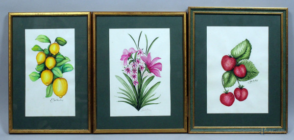 Lotto composto da tre acquarelli su carta a soggetto botanico, misure max. 25x18 cm, firmati entro cornici.