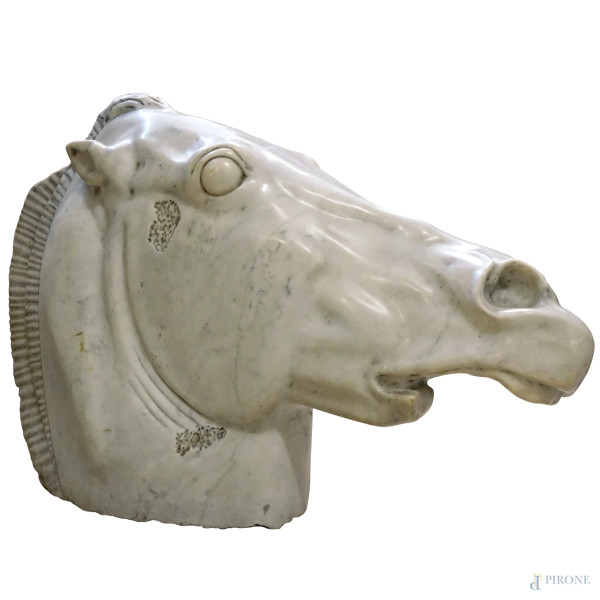 Scultura in marmo rappresentante la testa di un cavallo, XX secolo, altezza cm 60