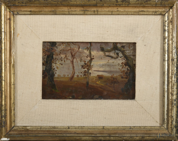 Paesaggio con alberi, XX secolo, olio su cartone, cm 13,5x21, siglato in basso a sinistra, entro cornice (segni di usura, abrasioni, supporto lievemente imbarcato)