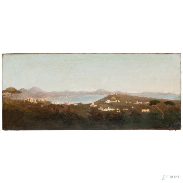 Veduta del golfo di Napoli, XIX-XX secolo, cm 35x82, (craquelure, sollevamenti della pellicola pittorica, segni di usura, graffi)