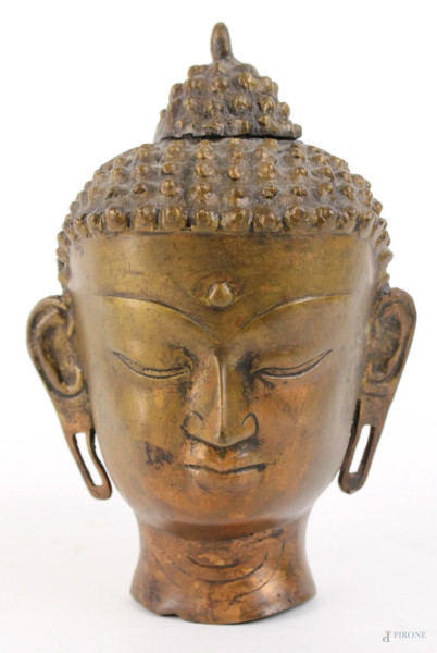 Testa di Buddha, scultura in bronzo, altezza cm.20, XX secolo