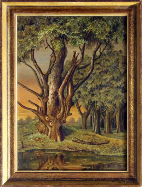 Paesaggio boschivo, olio su tavola, 50x36 cm, entro cornice