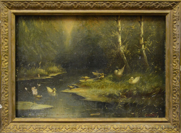 Scorcio di bosco con torrente e oche,olio su tela 26x39 cm, entro cornice.