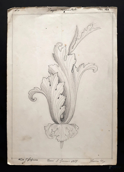 Disegno ornamentale ottocentesco raffigurante studio di botanica, grafite su carta, cm &#160;24x33, firmato e datato Ugo Tinozzo - 1889