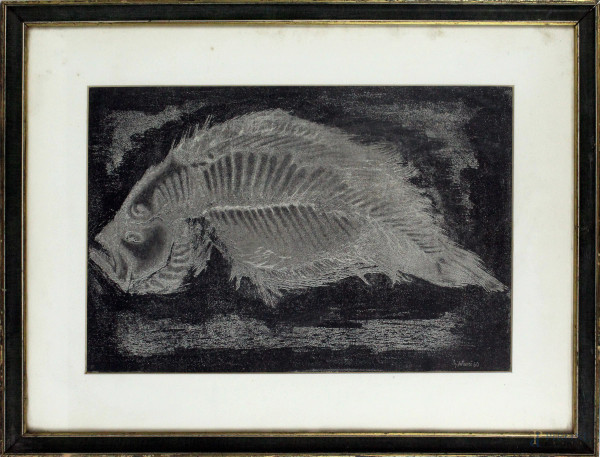 Stampa raffigurante fossile, cm.25x36, XX secolo, entro cornice.