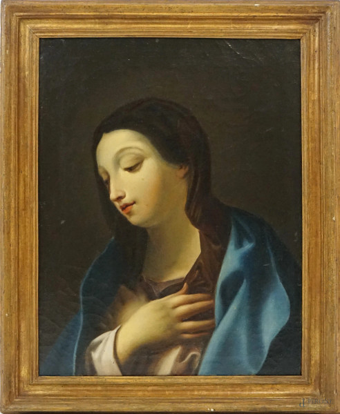 Carlo Dolci (1616-1686) seguace di, Madonna, olio su tela, cm 49x38, entro cornice.