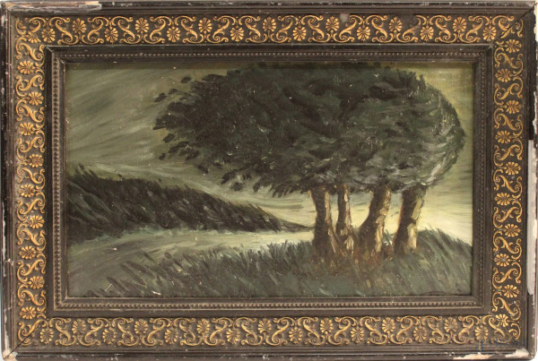 Paesaggio con alberi, olio su cartone 23x39 cm, firmato, entro cornice.