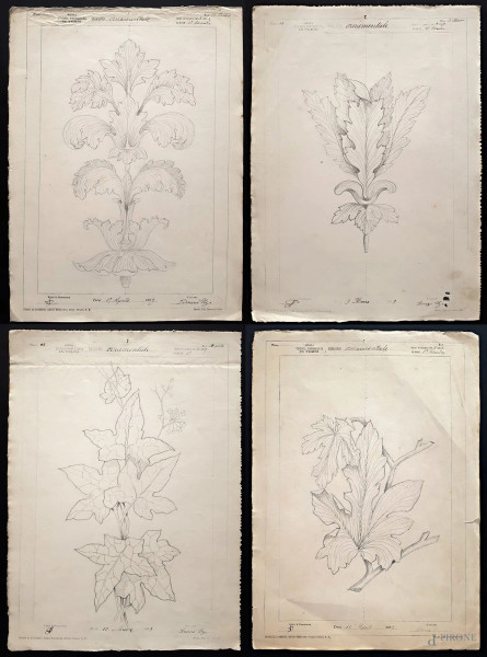 Ugo Tinozzo (XIX sec.), Quattro disegni ornamentali raffiguranti studi di botanica, grafite su carta, ciascuno cm 24x33, firmati e datati 1888