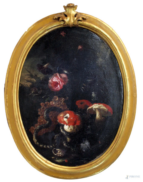 Pittore del XVII sec., Natura morta , Fiori, funghi e serpente, olio su tela ad assetto tondo, cm 60x45, entro cornice.
