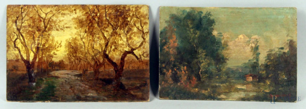 Lotto composto da due dipinti raffiguranti paesaggi ad olio su tavola e cartoncino, dimensioni 21x32 cm, 20x30 cm.