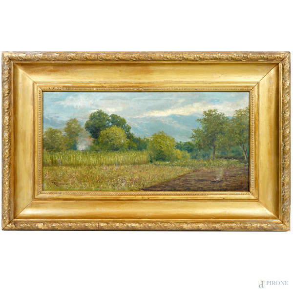 Paesaggio, olio su tela riportata su cartone, firmato, cm 28,5x56, entro cornice