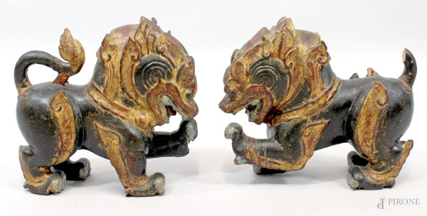 Coppia cani di Pho, in legno laccato e dorato, altezza cm 21,5, Cina XIX secolo, (difetti).