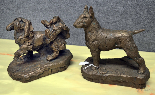 Coppia di sculture in bronzo dorato, raffiguranti un bullterier e un pechinese, datate e firmate, h. cm 20.