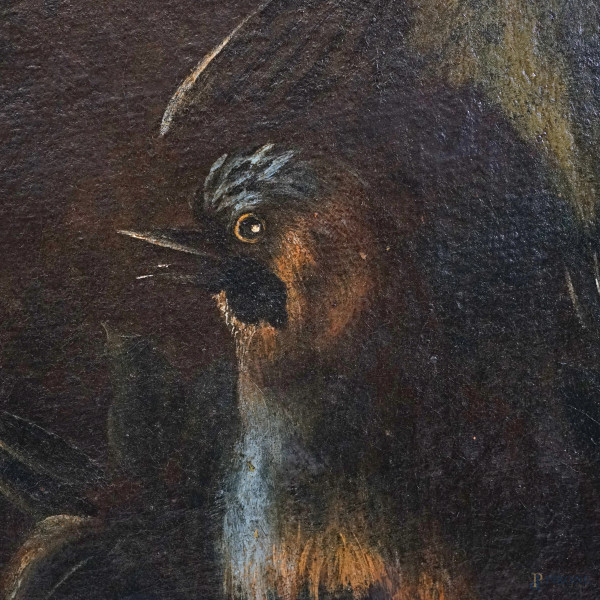 Scuola dell'Italia settentrionale del XVII secolo, Ibis, ghiandaia e pettirosso entro un paesaggi...