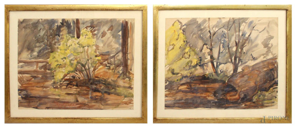 Coppia di paesaggi con alberi, acquarelli su carta, cm 30 x 39, entro cornici.