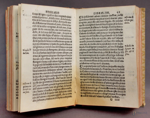 Palladio, libro del 1538, mancanze.