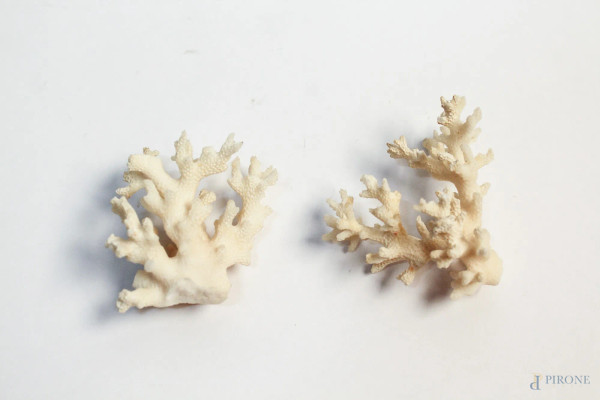 Lotto di due antichi frammenti di corallo bianco, h max 7 cm.