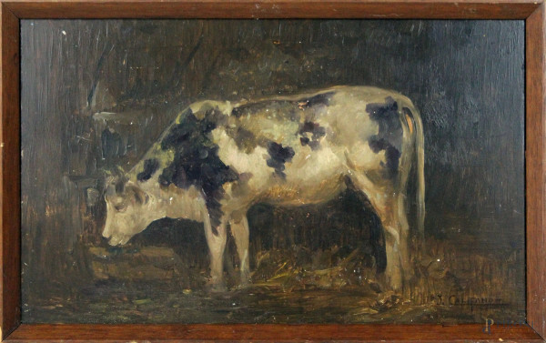 Interno di stalla con mucca, olio su tavola, cm 27,5x45, firmato J. Califano, entro cornice