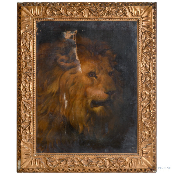 FILIPPO PALIZZI (attr.), Testa di leone, XIX secolo, olio su tela, cm 83x64,5, firmato in basso a sinsitra, entro cornice (cadute di colore, lacerazione, piegature e ondulazoni della tela)