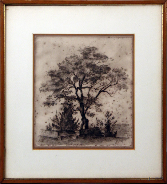 Paesaggio con albero, tecnica mista, 20x22 cm, entro cornice, XIX sec.