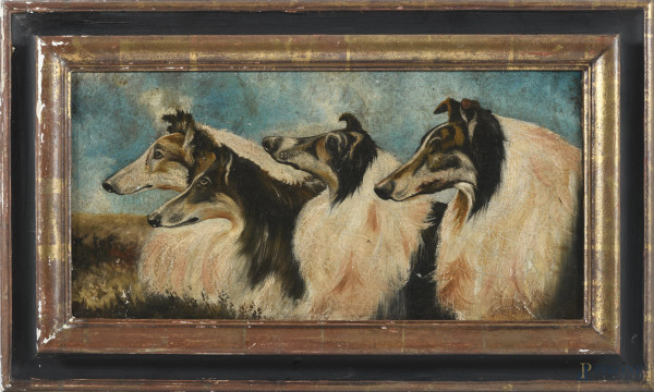 Collie, XX secolo, olio su tela, cm 25x50, entro cornice, (craquelure, sollevamenti e cadute di colore, difetti)