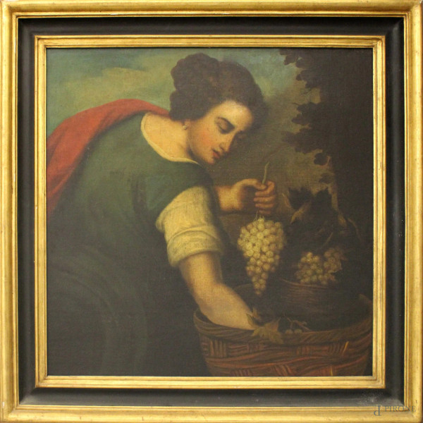 Ragazza con cesta con frutti, olio su tela, XVIII sec., cm 53 x 53, entro cornice.
