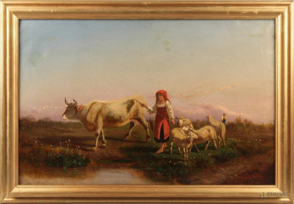 Paesaggio con pastorella e armenti, olio su tela 50x78 cm, firmato, entro cornice.