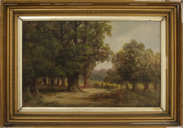 Paesaggio boschivo con sentiero,olio su tela, cm, 40x24  del XIX&#176; sec, entro cornice (difetti sulla tela)