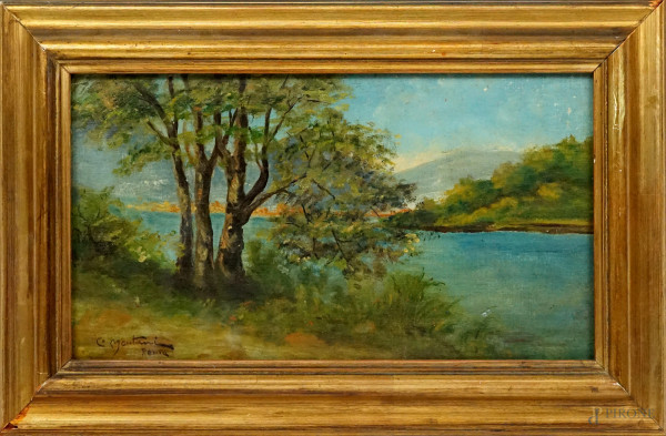 Paesaggio fluviale, olio su cartone telato, cm 20x35, firmato C.Montani, entro cornice.
