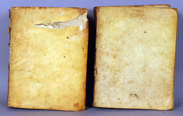 Lotto composto da due libri in pergamena del XVIII secolo.