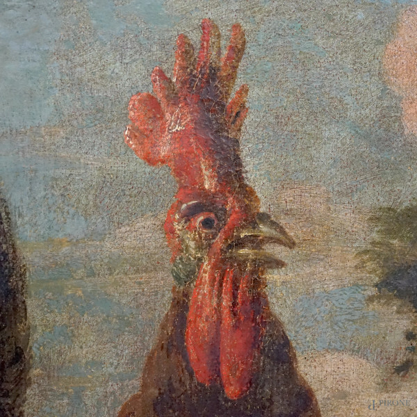 Scuola italiana del XVIII secolo, Galli e pulcini, olio su tela, cm 81,5x63 (difetti)