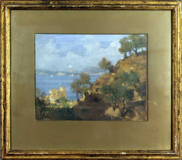 Giovanni  Brancaccio - Gli ulivi, olio su tela, cm. 20x25, entro cornice.