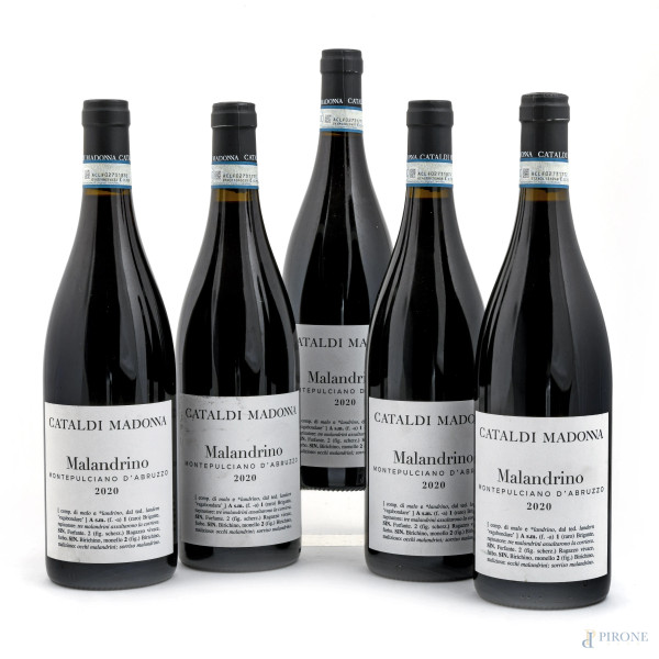 Montepulciano d'Abruzzo DOC, Malandrino Cataldi Madonna, 2020