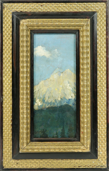 Scorcio alpino, olio su cartone, firmato, cm 25,5x11,5, entro cornice