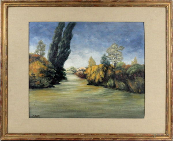 Paesaggio fluviale, olio su cartone, cm 40x47, firmato, entro cornice