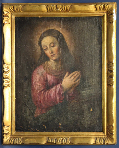 Madonna, olio su tela riportato su tavola, XVIII sec., cm 38 x 29, entro cornice.