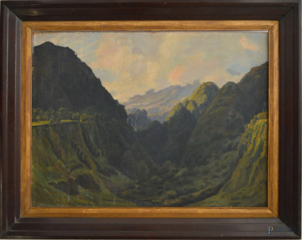 Paesaggio montano, olio su tela 60x80, entro cornice primi 900.