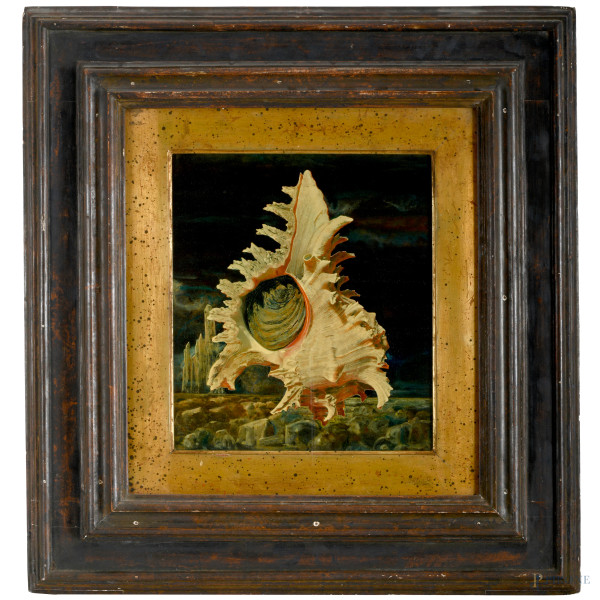 Conchiglia, XX secolo, olio su compensato, cm 35x30, entro cornice