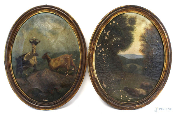 Coppia di dipinti raffiguranti paesaggio e caprette, olio su tela, cm 40x30, ad assetto ovale, inizi XX secolo, entro cornice, (cadute di colore).