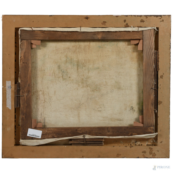 Paesaggio montano con città, olio su tela, cm 45x55, firmato, entro cornice