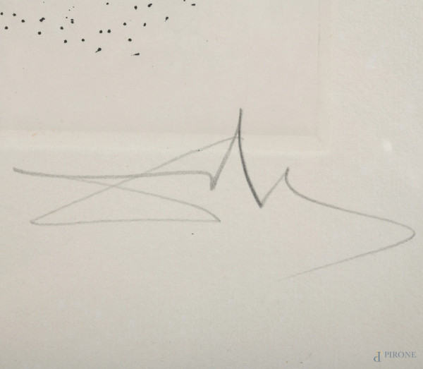 Lotto di cinque litografie di Salvador Dalì, misure massime cm 46x37 compreso passepartout, firma...