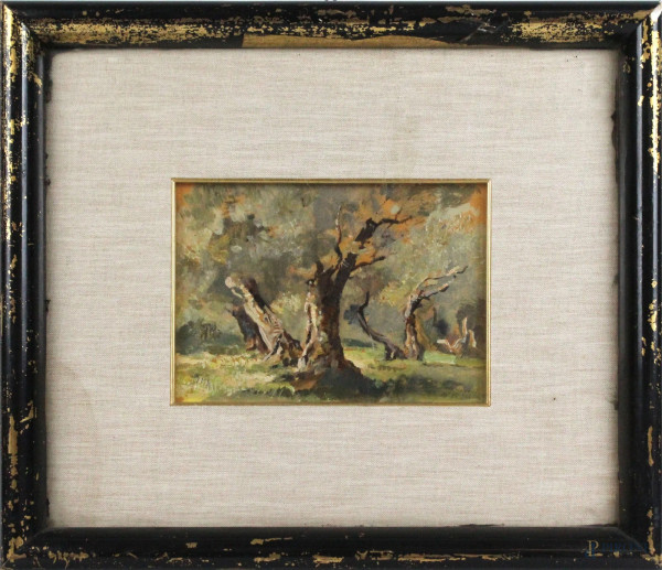 Paesaggio con alberi, olio su cartone, cm 13,5x18, firmato e datato, entro cornice