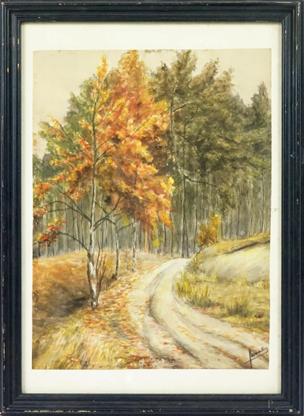 Scorcio di sentiero nel bosco, acquerello su carta, firmato in basso a destra, cm 29x22, entro cornice