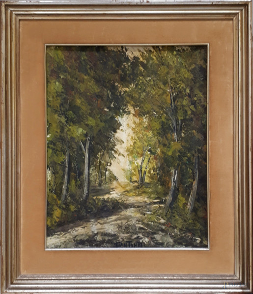 Paesaggio con alberi, olio su tela applicata su cartone, cm 50x40, firmato in basso al centro, entro cornice